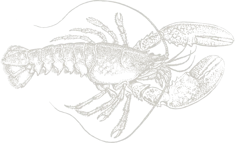 Lobster